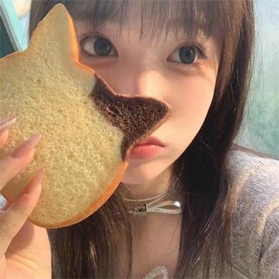 危险辩护